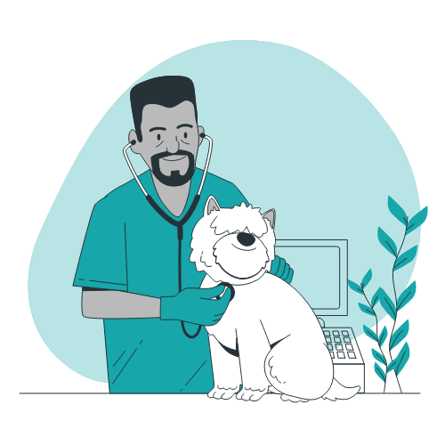 Vet Home Visit