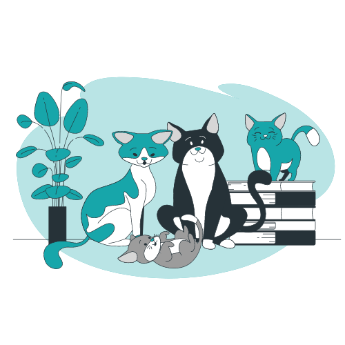 Cat Grooming