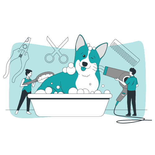 Dog Grooming