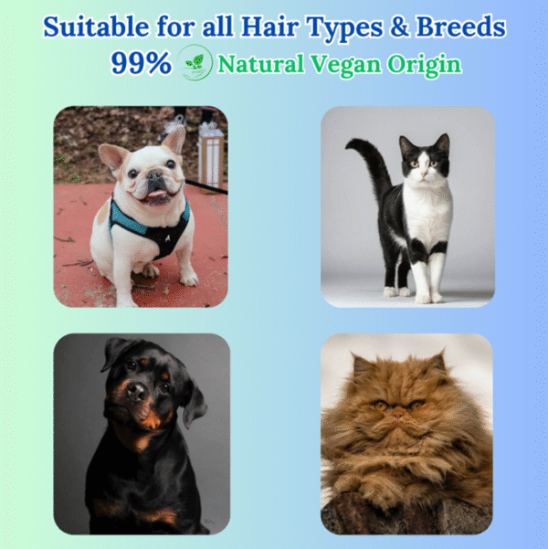 TAILSWAY Tick & Flea Shampoo for Dogs & Cats (300 ML) - Image 4
