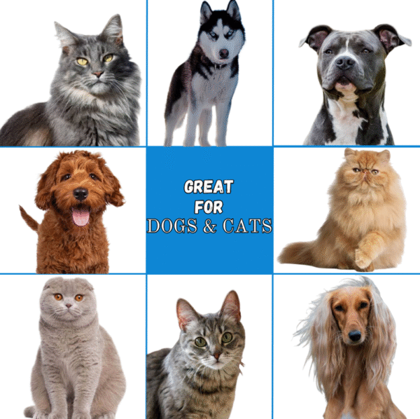 TAILSWAY Fur Shampoo for Dogs & Cats (300 ML) - Image 7